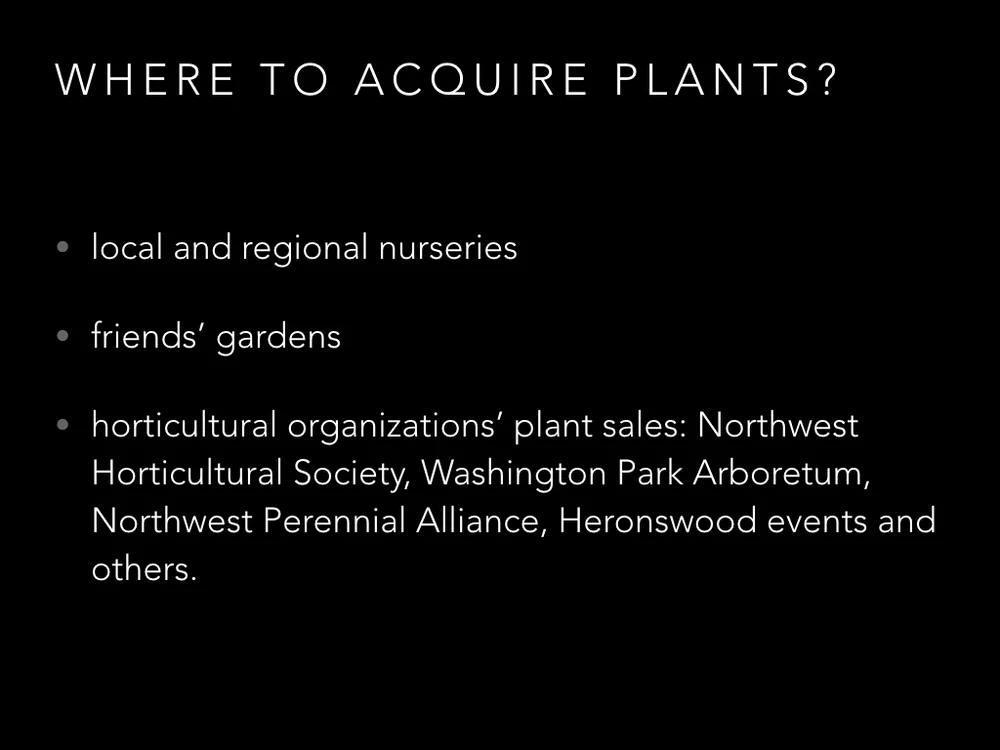 salvia talk copy.042.jpeg