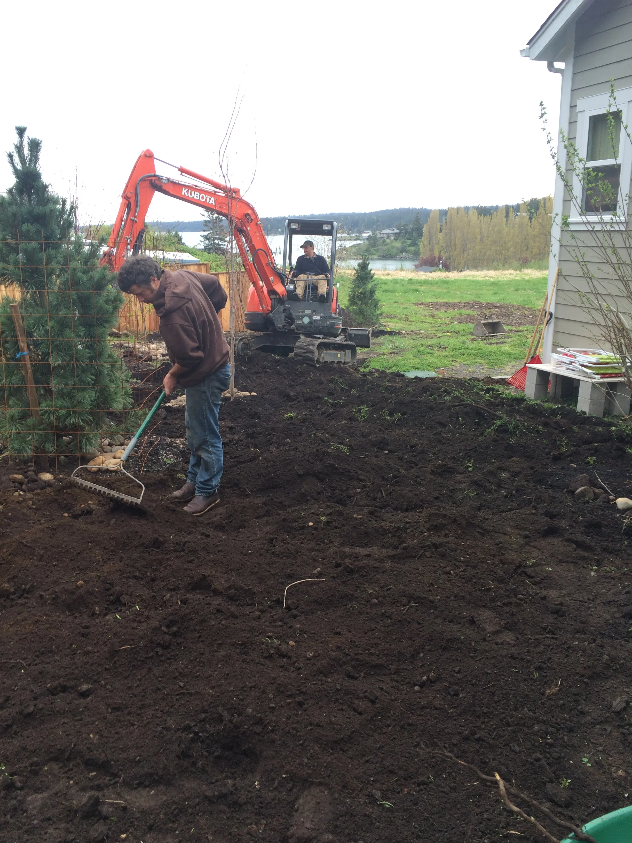 First trees going in, soil prepped. I admit to using machines when necessary. This soil can handle it. Brambles enrich; there is no doubt about that.