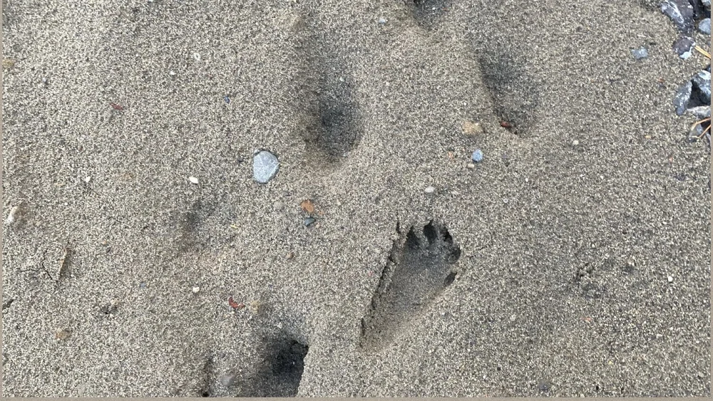 designed meadow final copyjpegs.022.jpeg