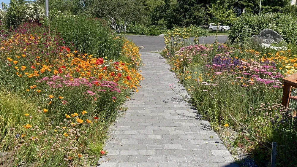 designed meadow final copyjpegs.079.jpeg