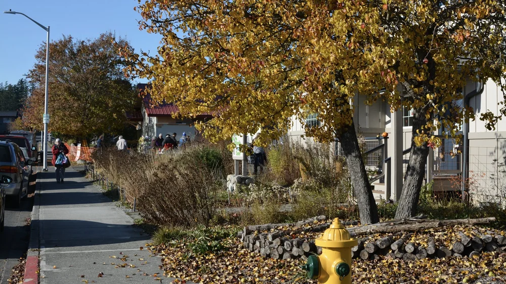 designed meadow final copyjpegs.166.jpeg