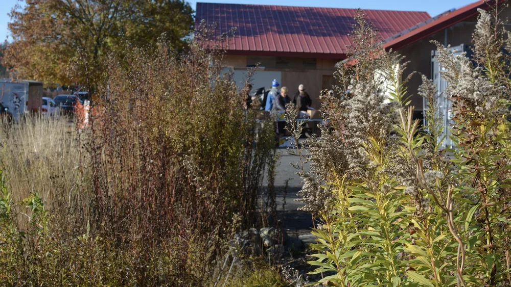 designed meadow final copyjpegs.171.jpeg