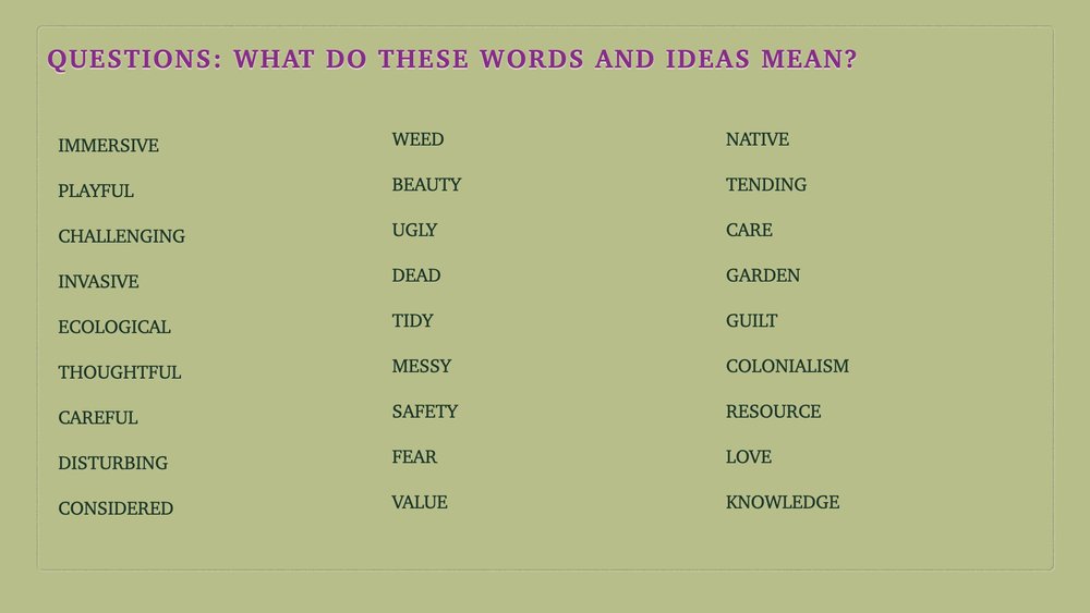 designed meadow final copyjpegs.191.jpeg