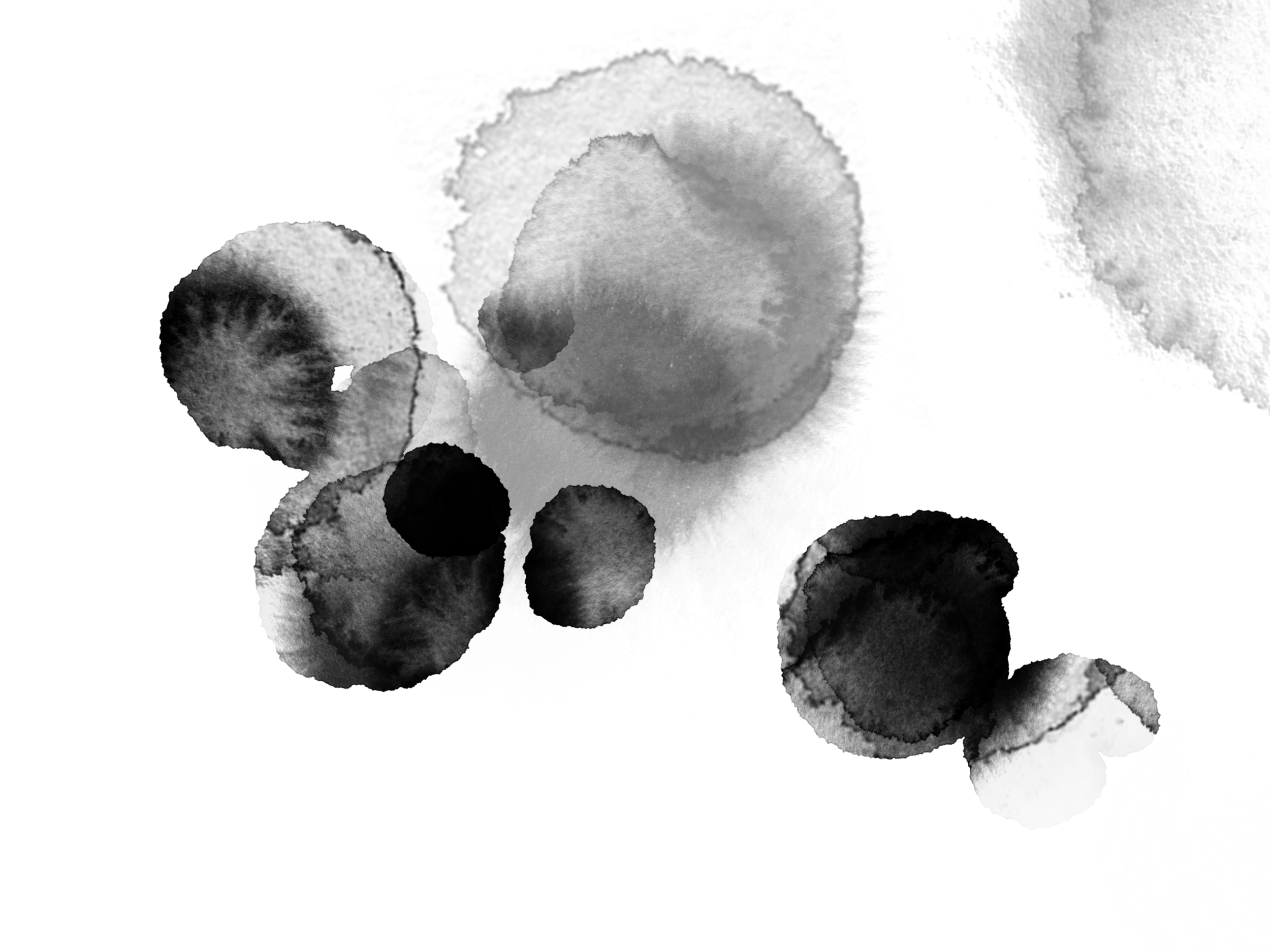 Export (11).png