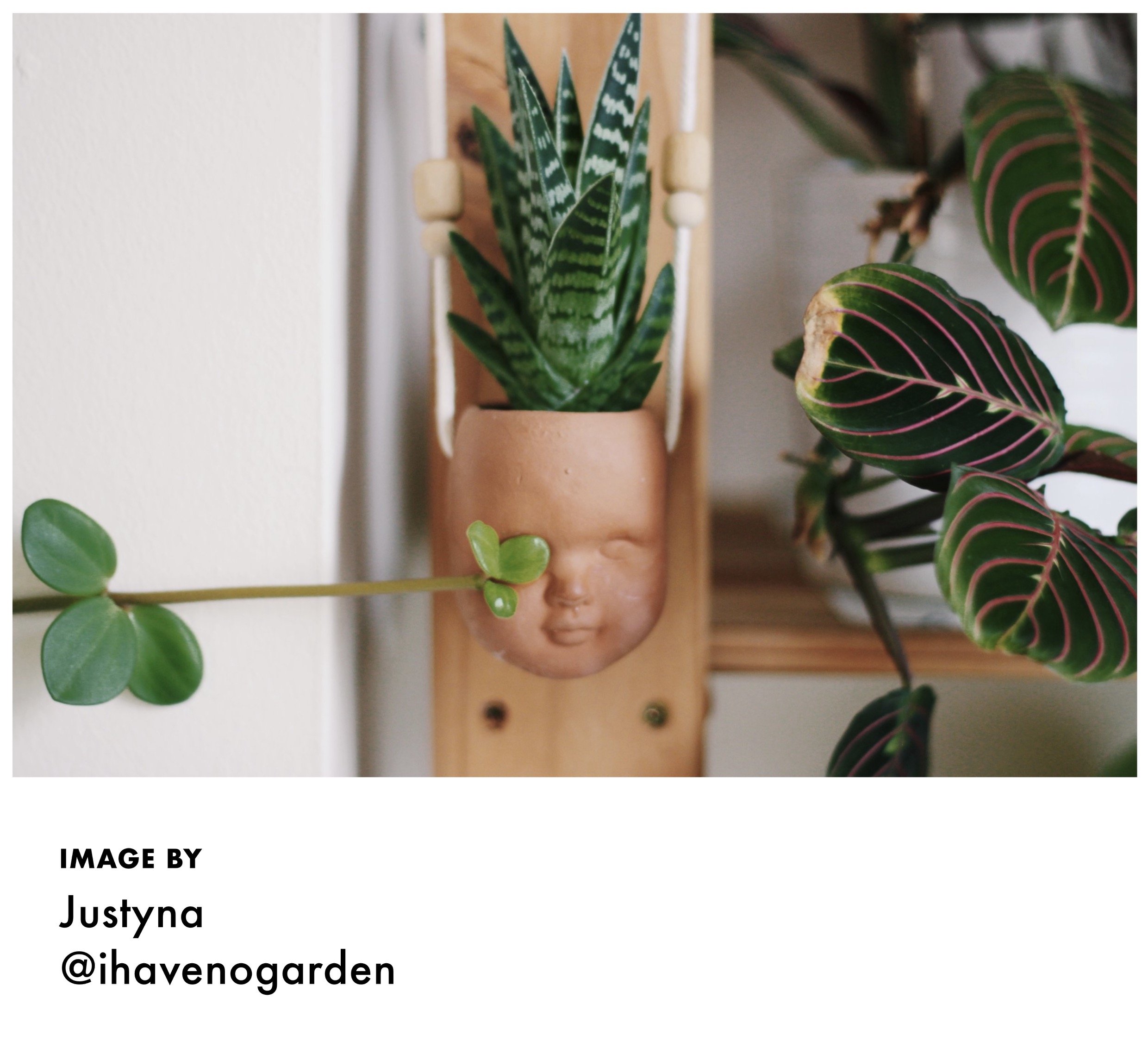 INSPO TAG Justyna 2 - tag ihavenogarden - Faceplanter - Studio Janneke Ceramics London.JPG