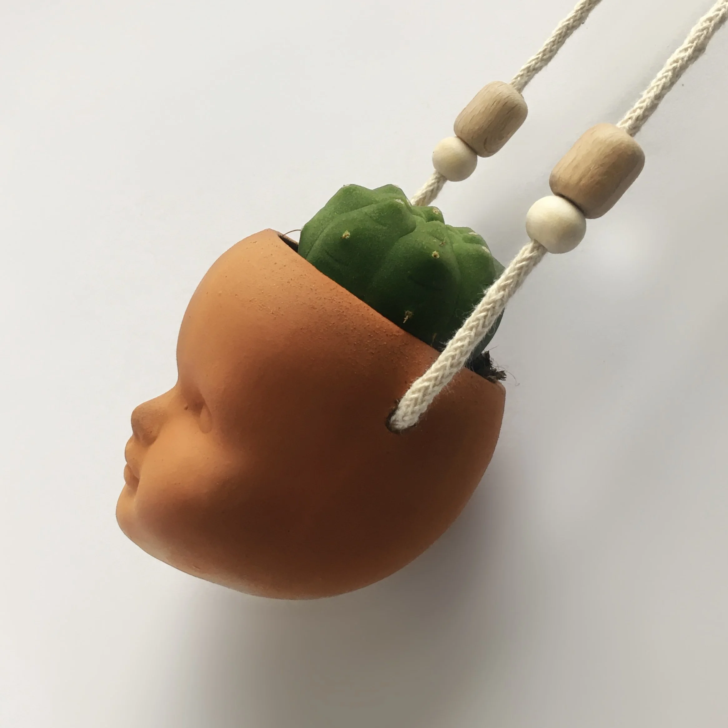 Planter with cactus hanging - Faceplanter - Studio Janneke Ceramics London.JPG