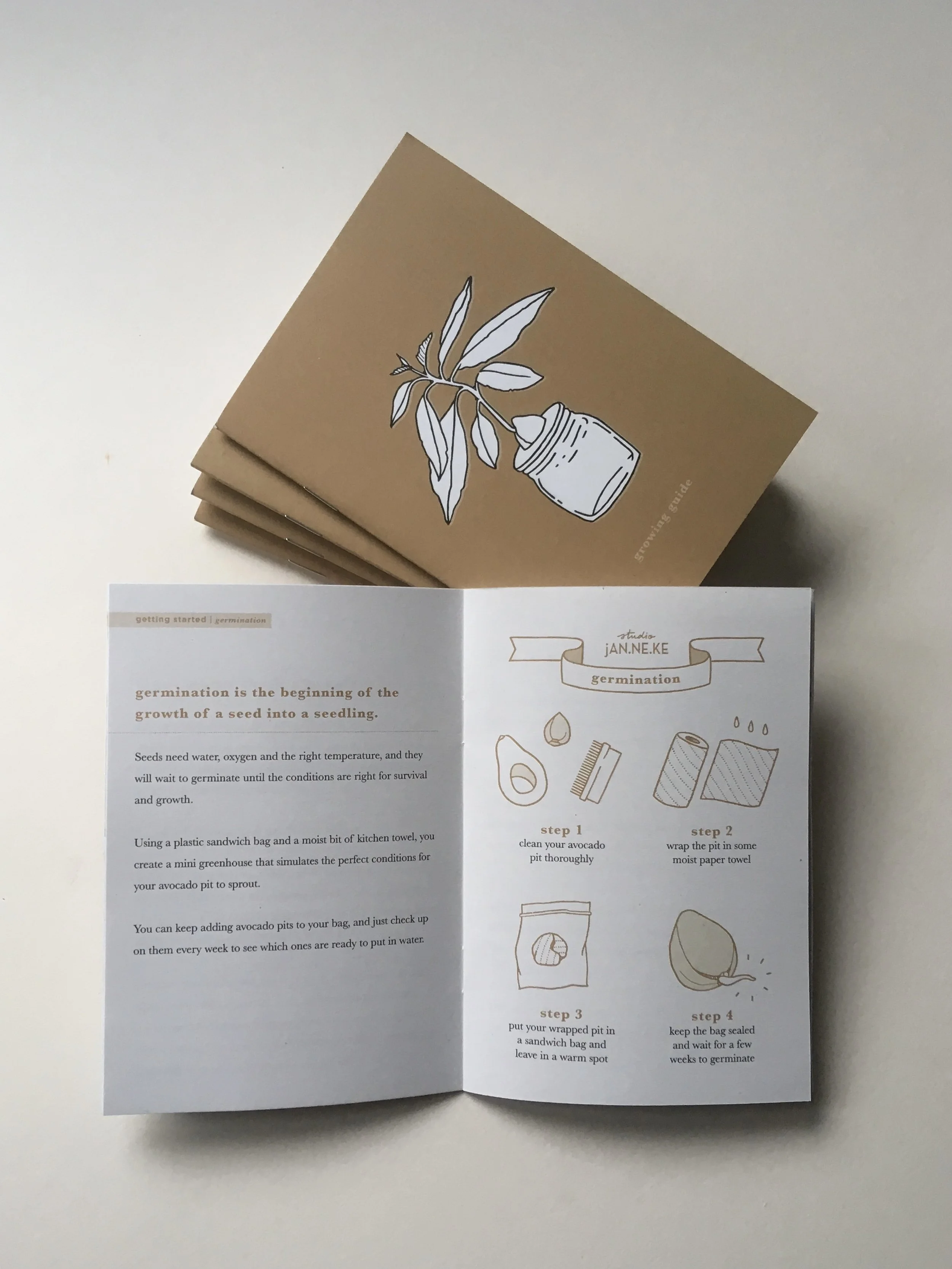 BOOKLET stack open 2 - DIY Growing Kit - Studio Janneke Ceramics London.jpg