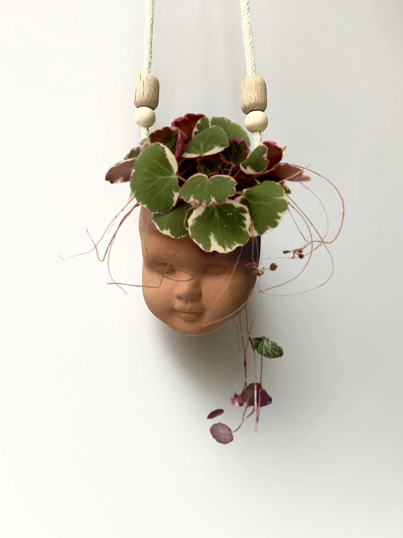 PLANT Strawberry Begonia - Faceplanter - Studio Janneke Ceramics London.jpg