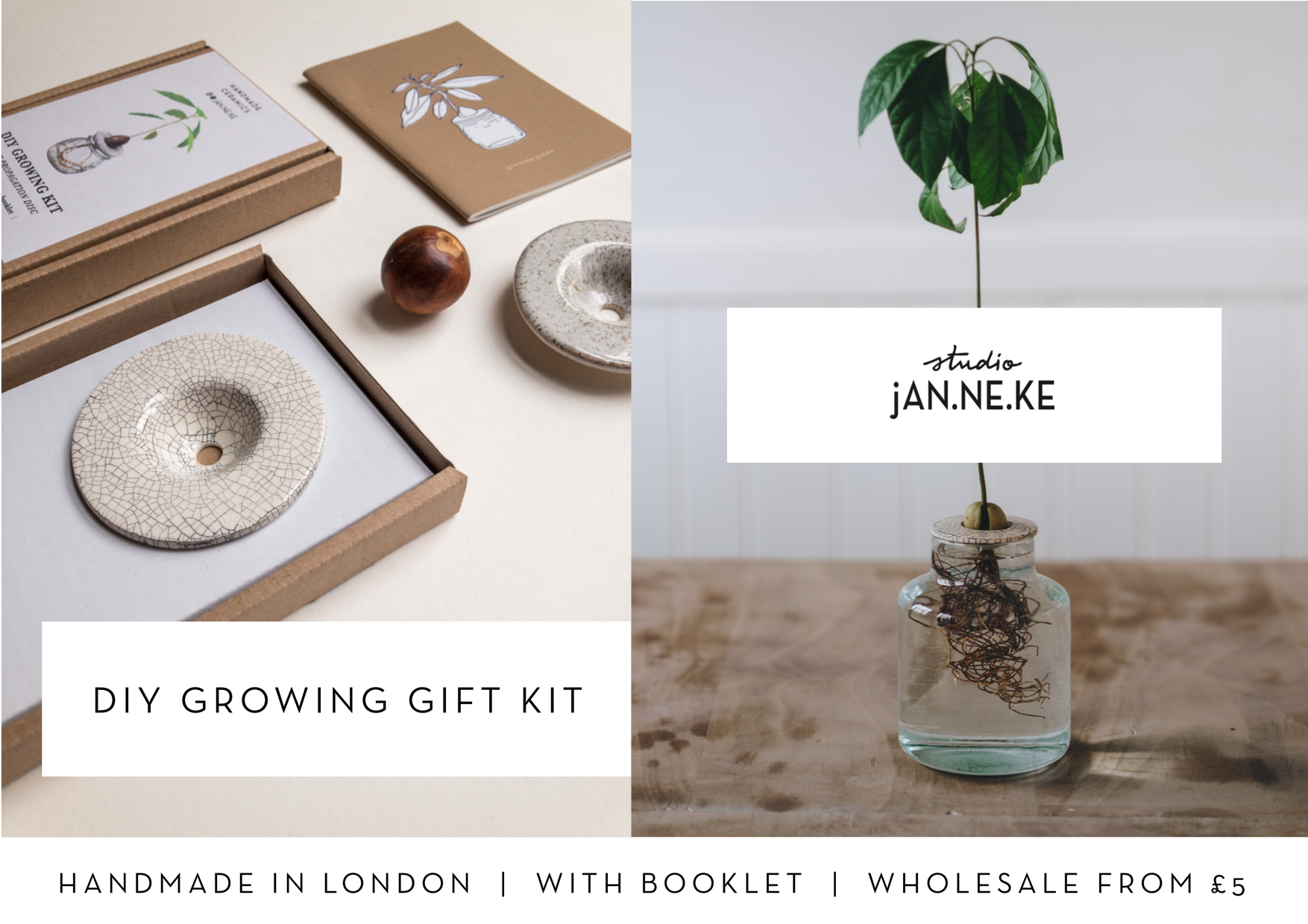 DIY Growing Gift Kit - Studio Janneke London.PNG