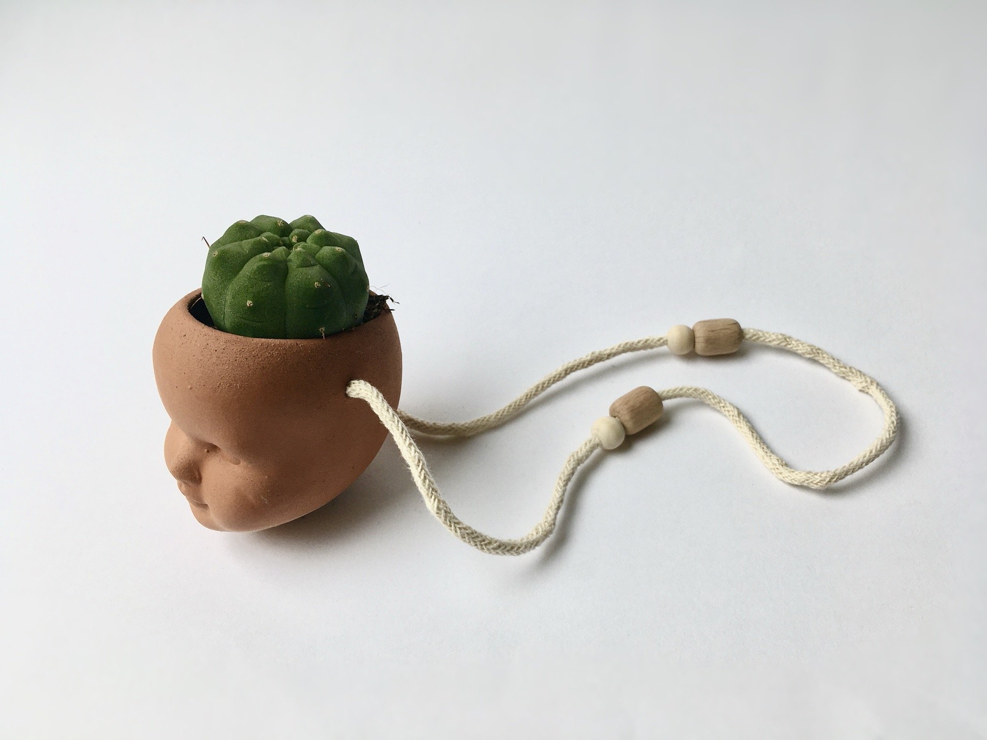 PLANT Cactus 3 - Faceplanter - Studio Janneke Ceramics London.JPG