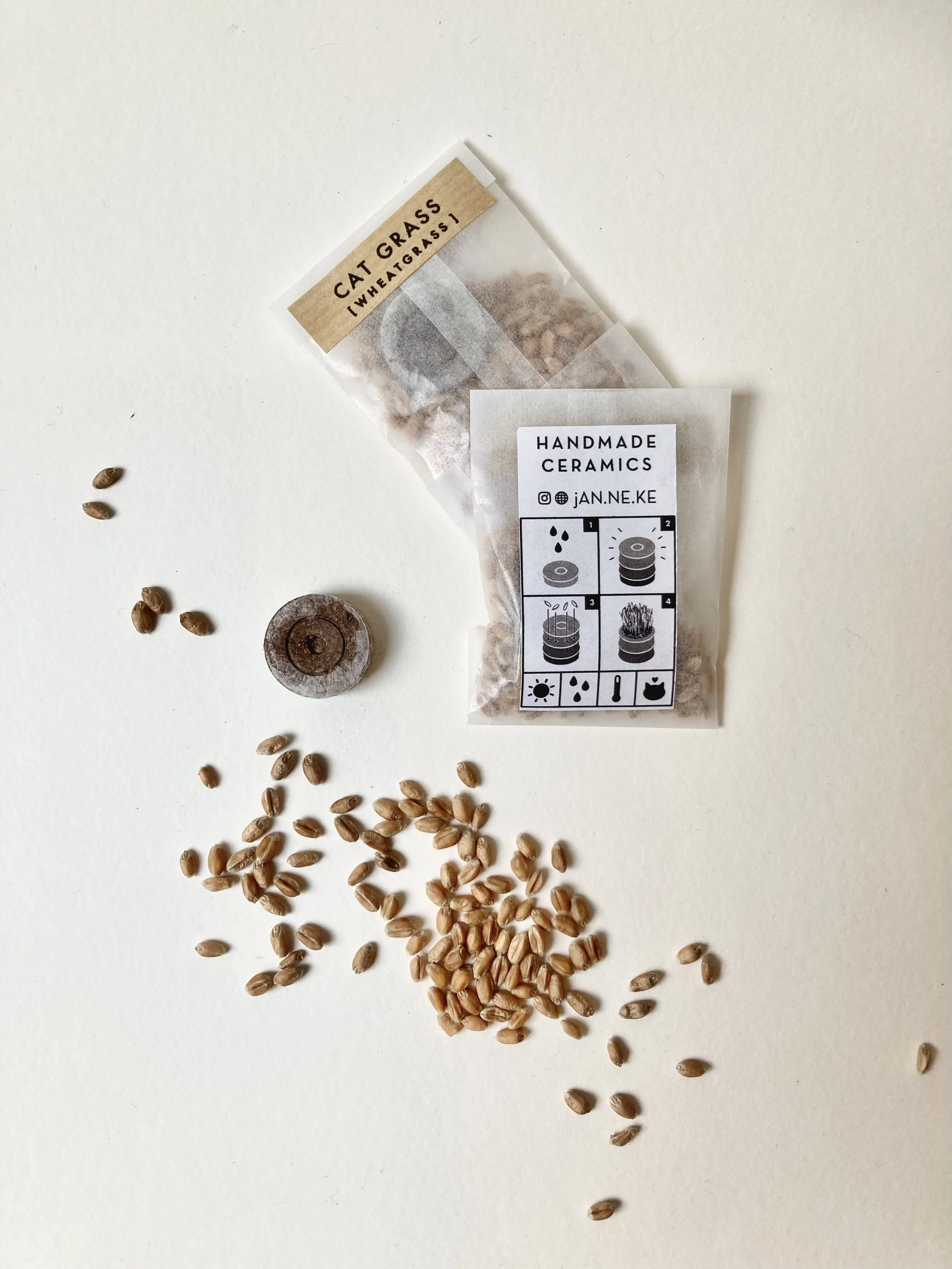 Tiny Friend Terracotta Face Pot - Cat Grass Planter - Handmade Ceramics by Studio Janneke in London