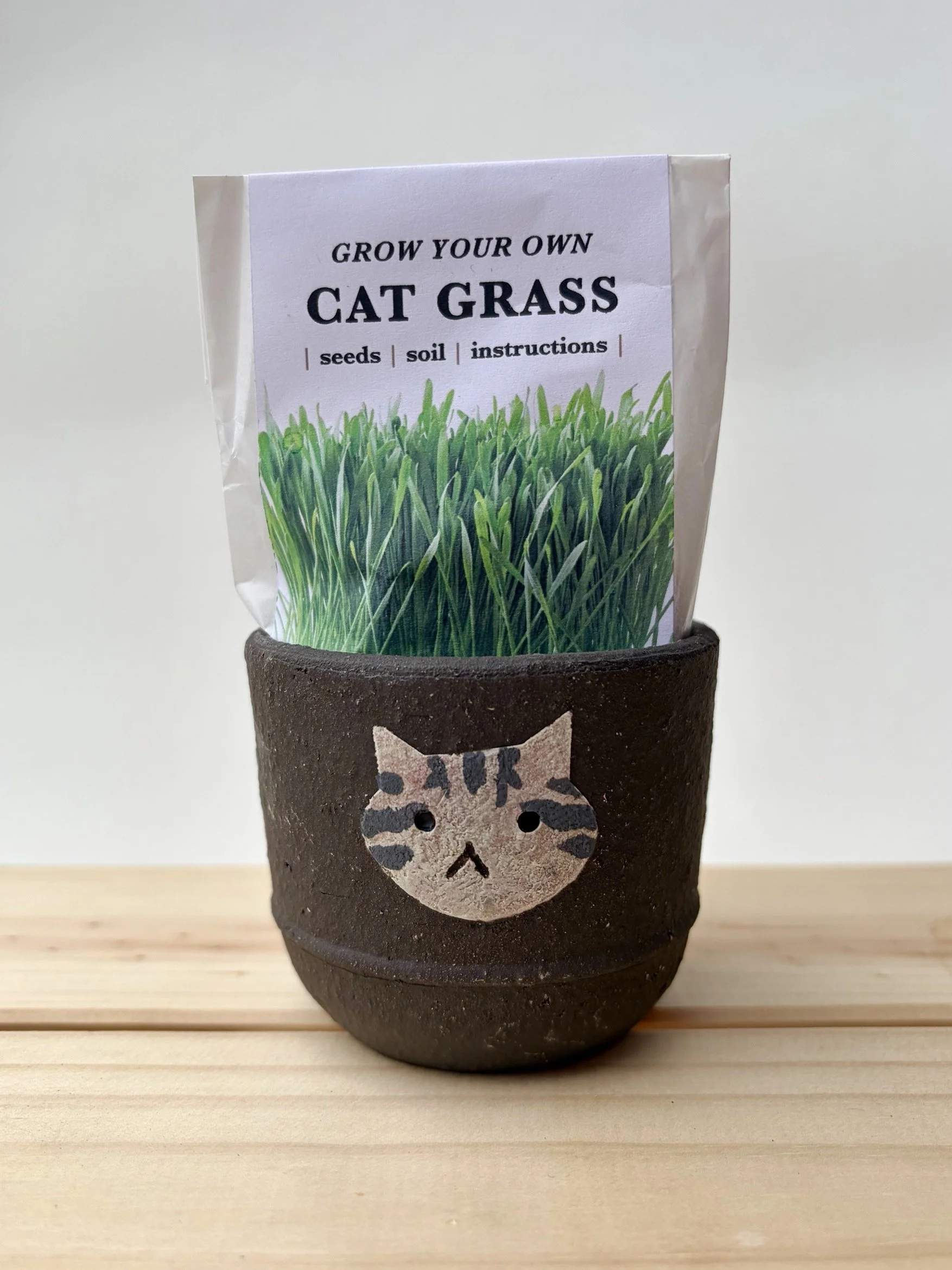 PRODUCT - Cat Grass Planter with seeds soil and instructions - Studio Janneke Ceramics London copy.jpg