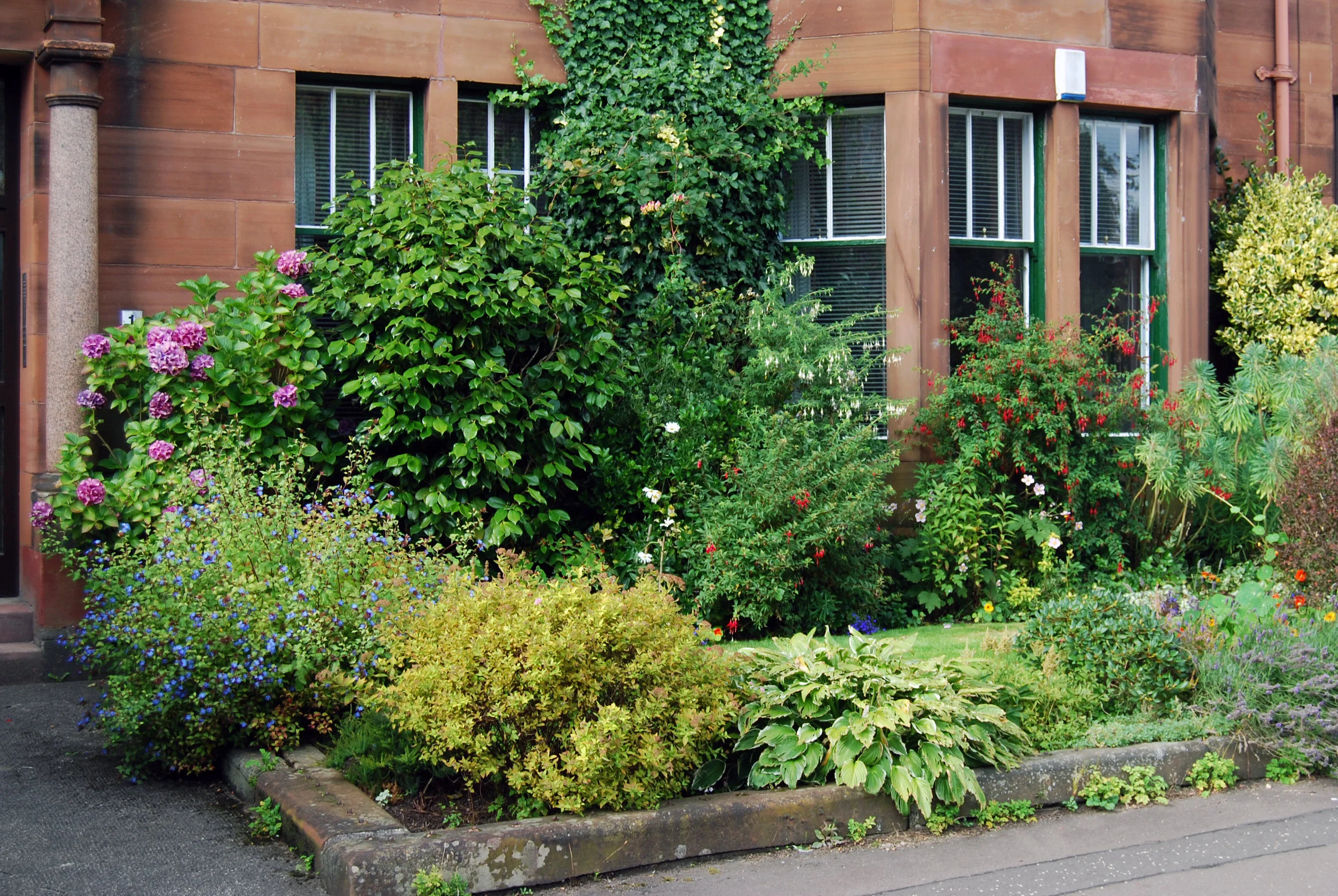 garden 6.jpg