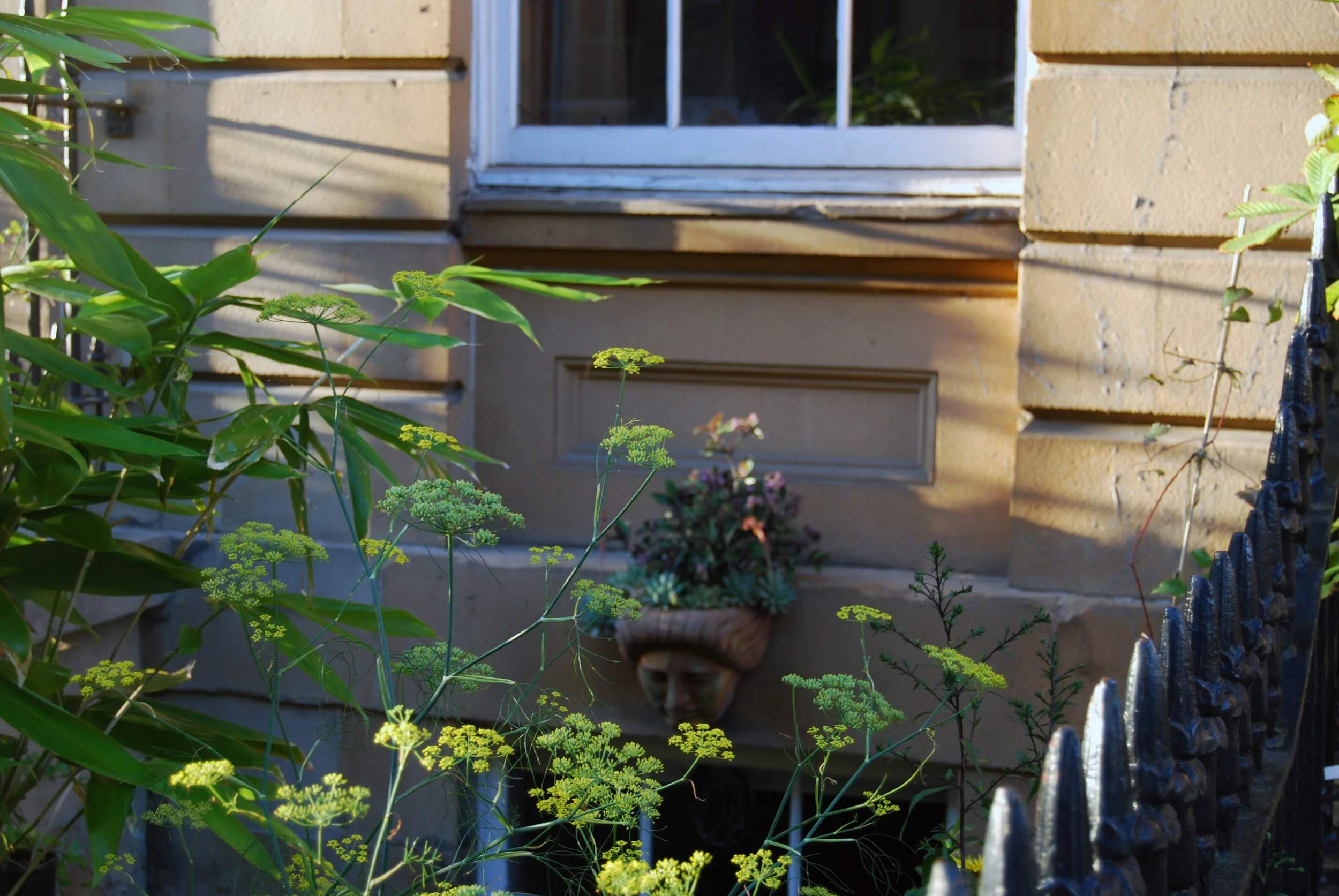 garden 19.jpg