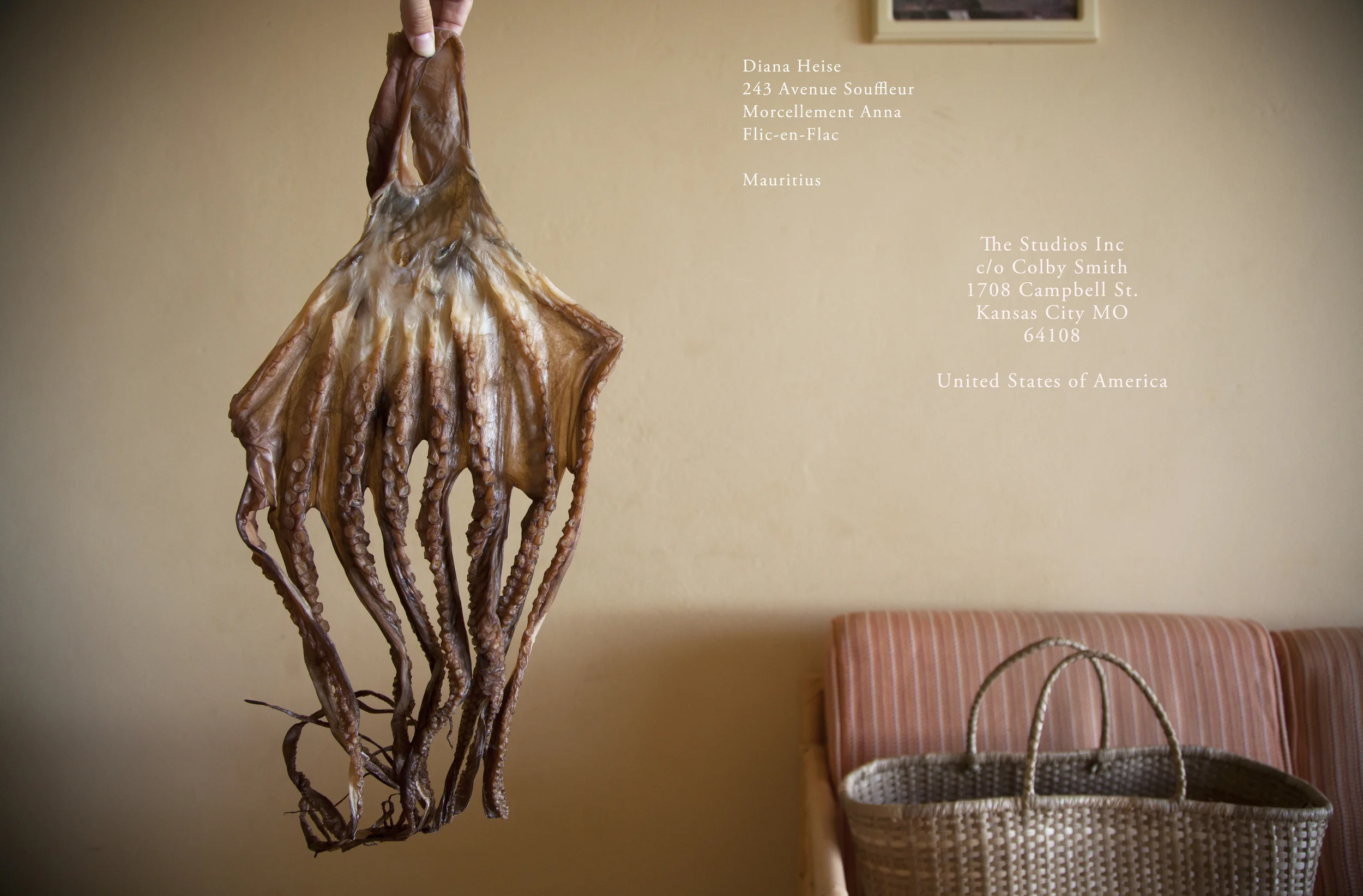 octopus postcard.jpg
