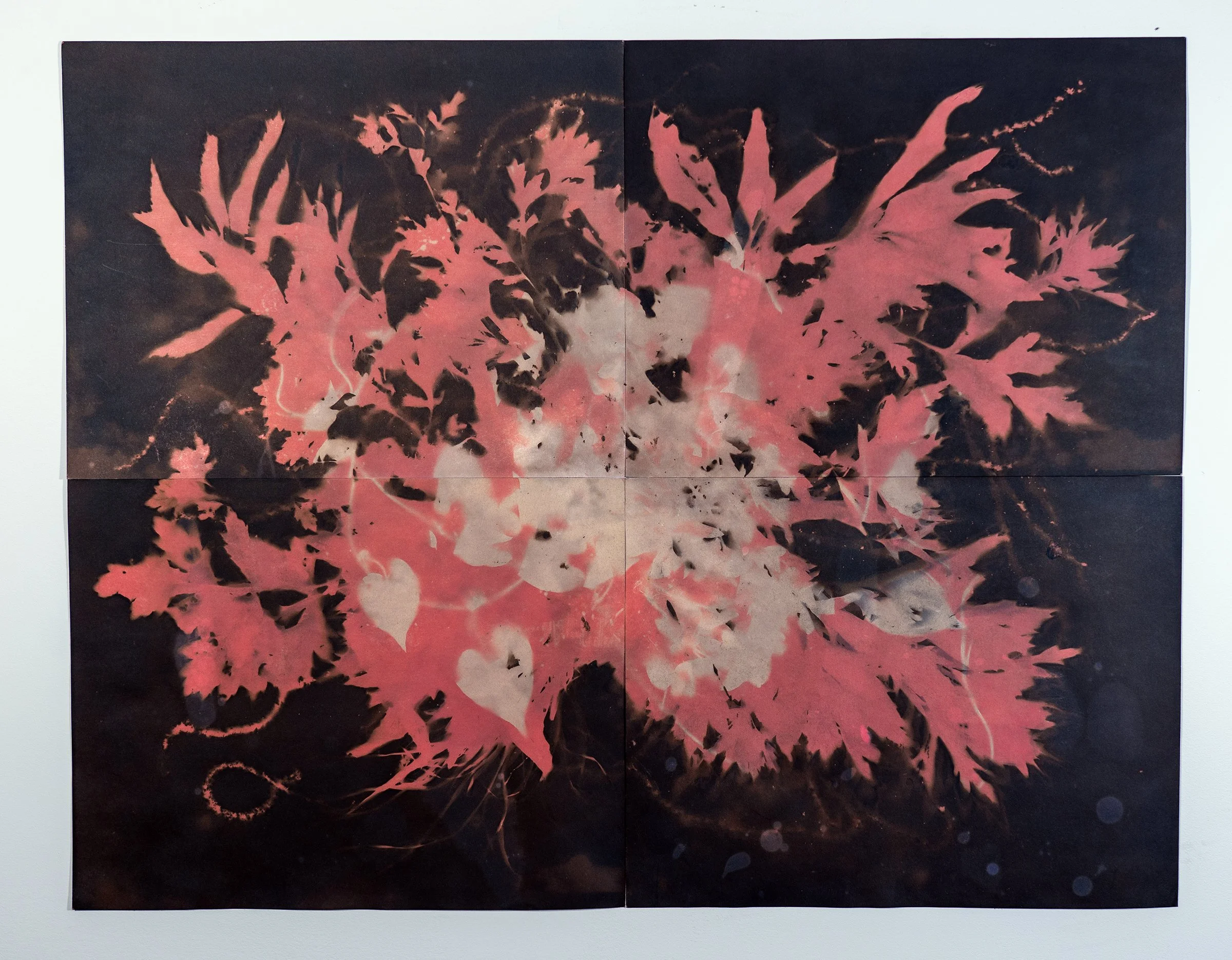 Heise_Diana_We are of this world 3_2023.jpg