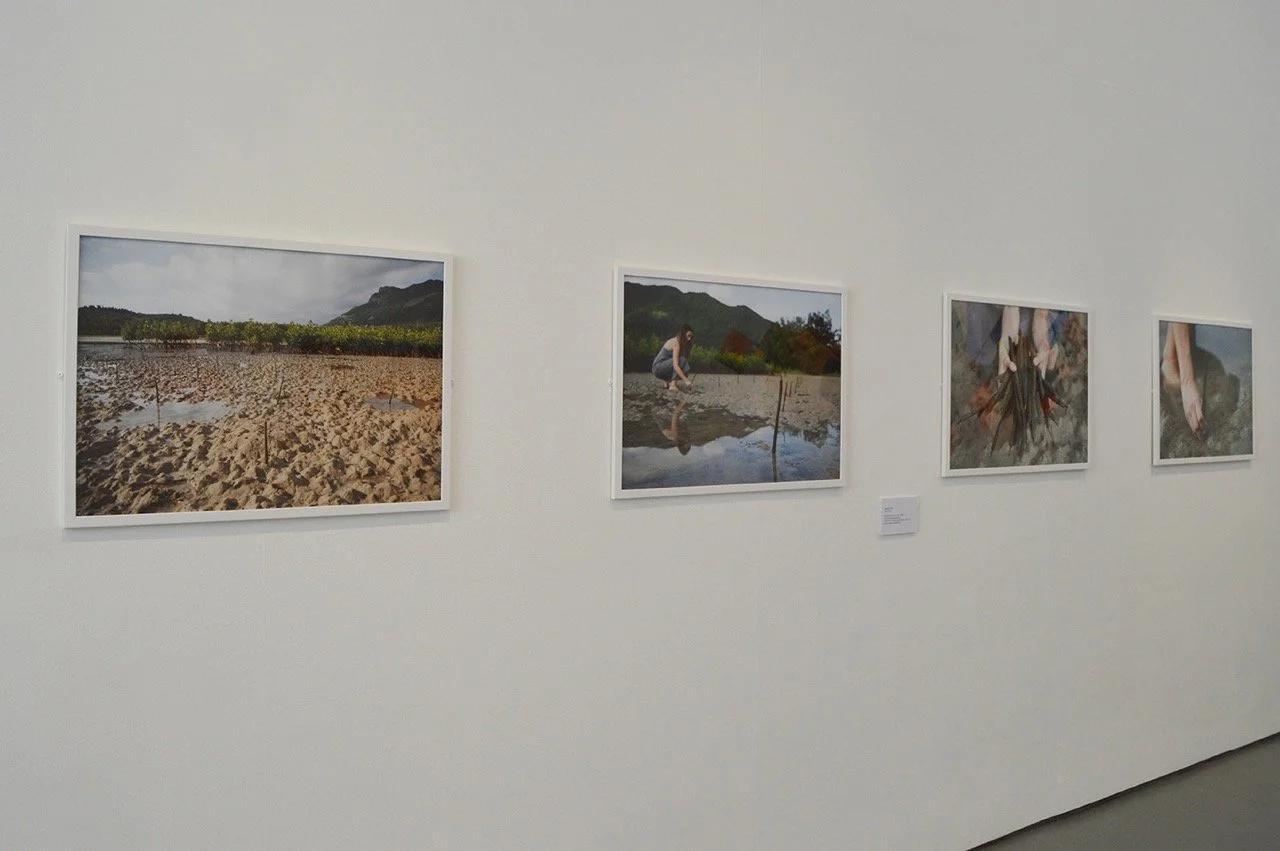 SEEDED_DH Large.jpeg