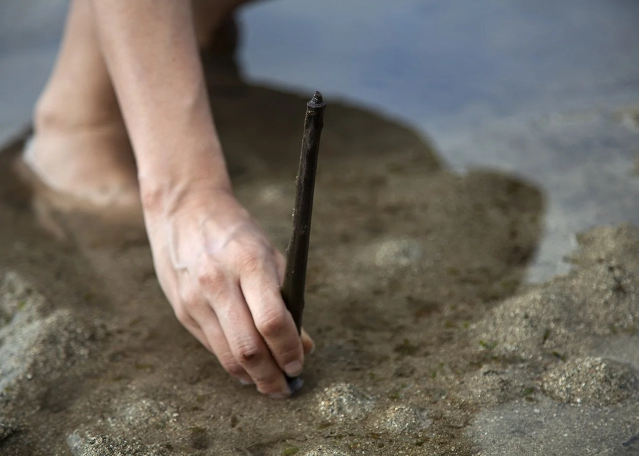 04 Heise Seeded.jpeg