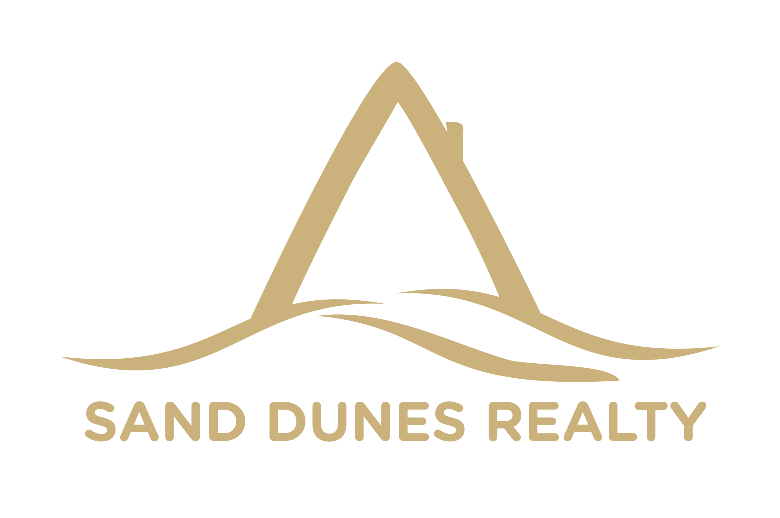 SandDunesRealty_Logo_sandcolor-02.png