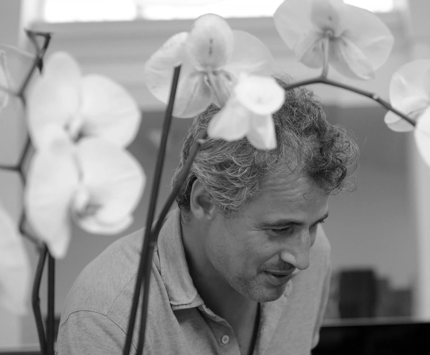 MICHAELIS BOYD ASSOCIATES - London, England, UK