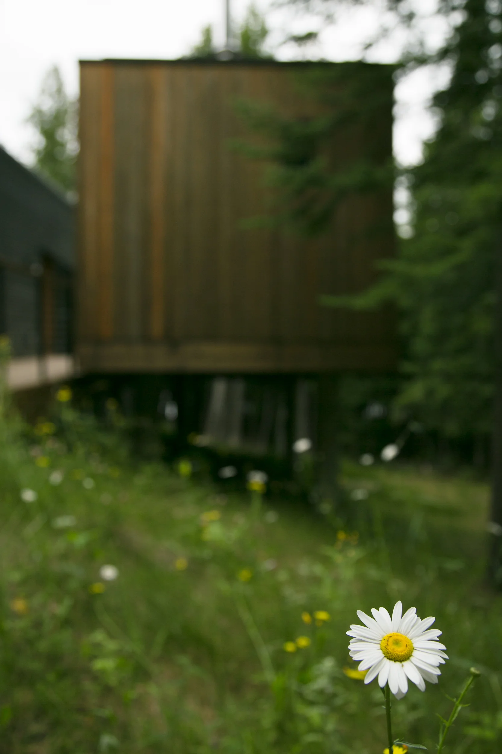 Gunflint Lake-21.jpg