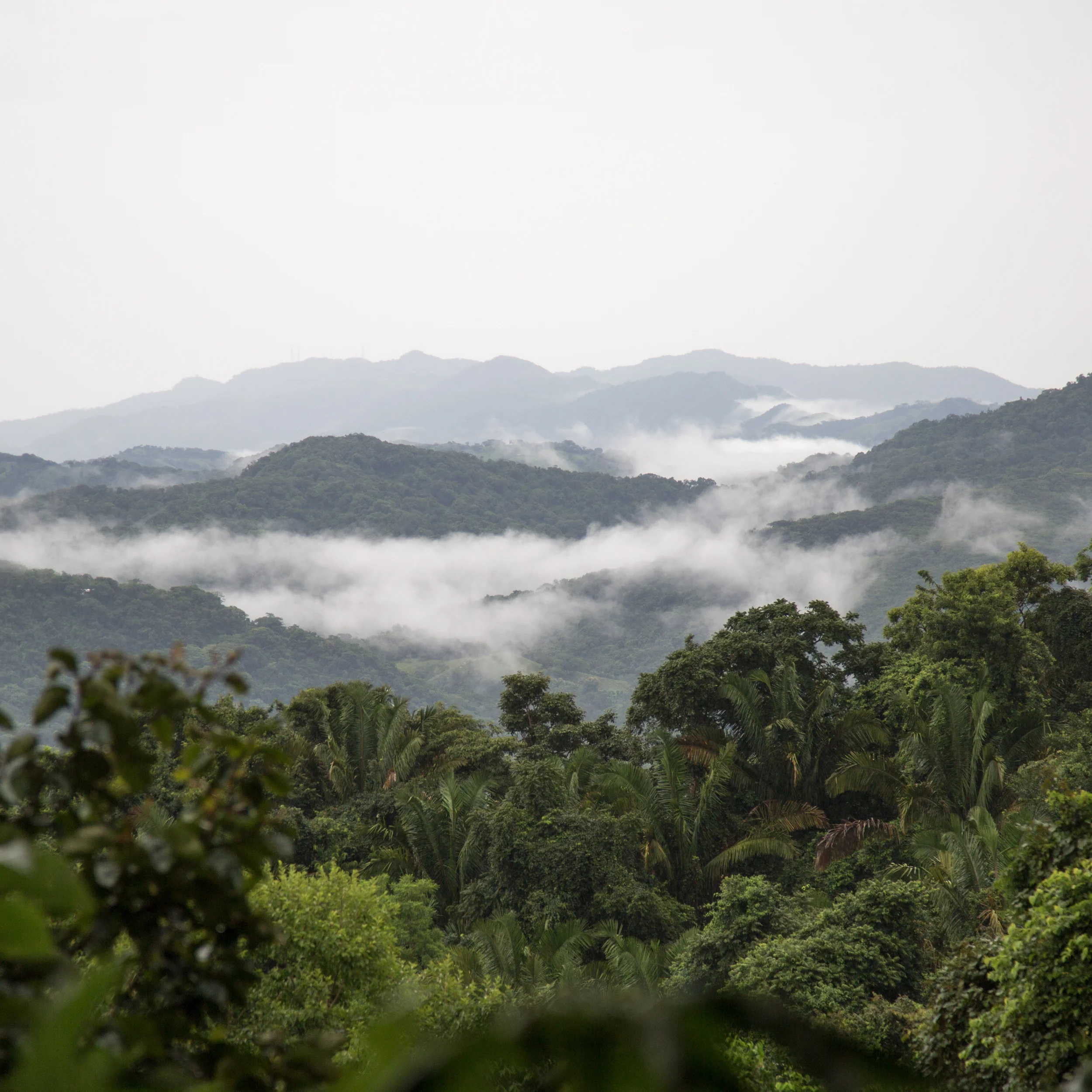 COSTA RICA TRAVELS AND SPRING IN NORTHERN MINNESOTA