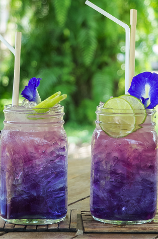 Grape Cooler.png