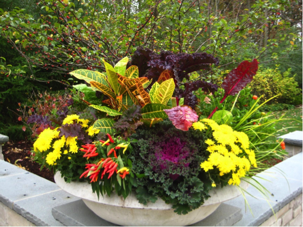 fall-plant-container.png