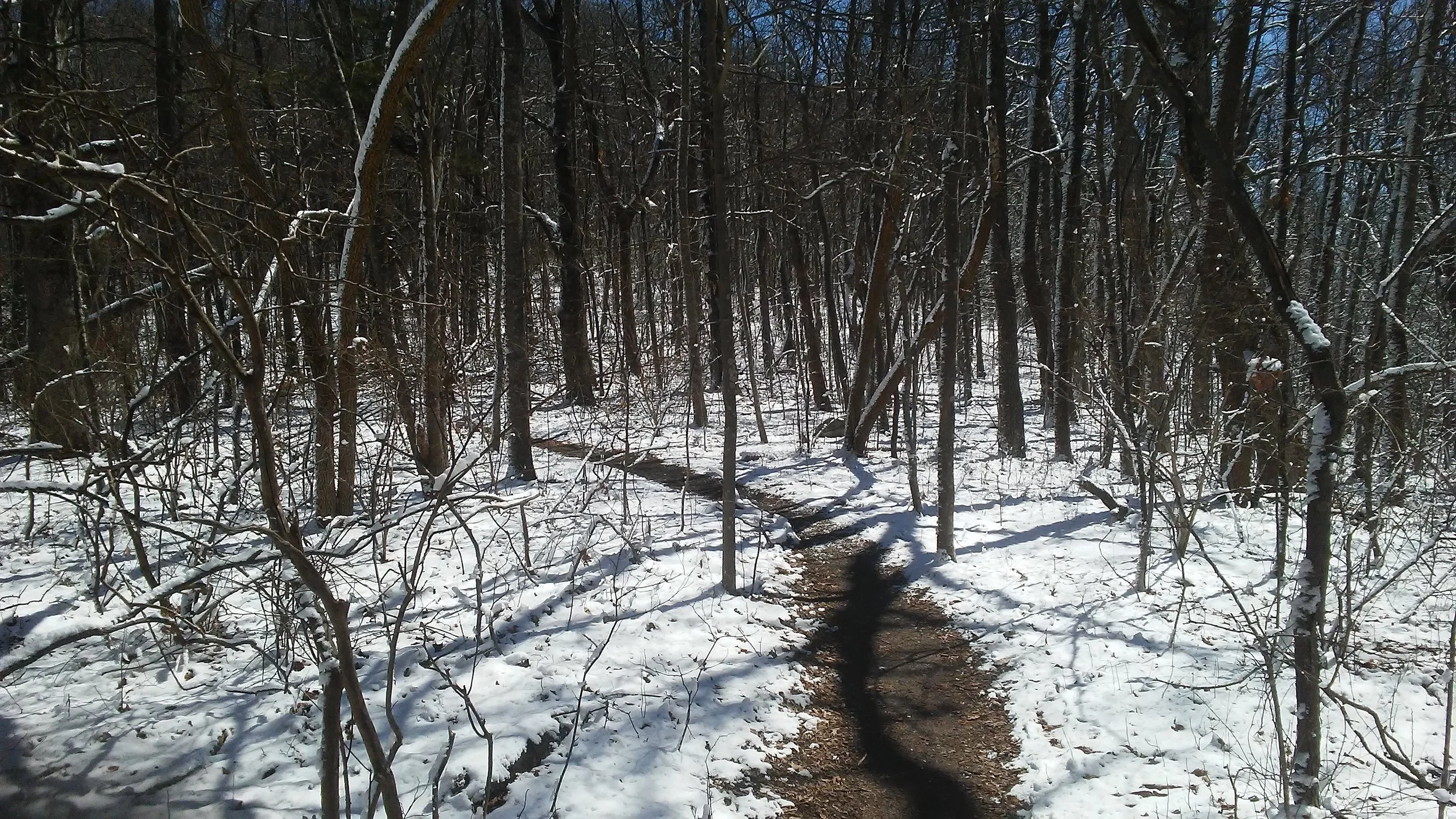 Snow-covered Approach Trail on March 15.