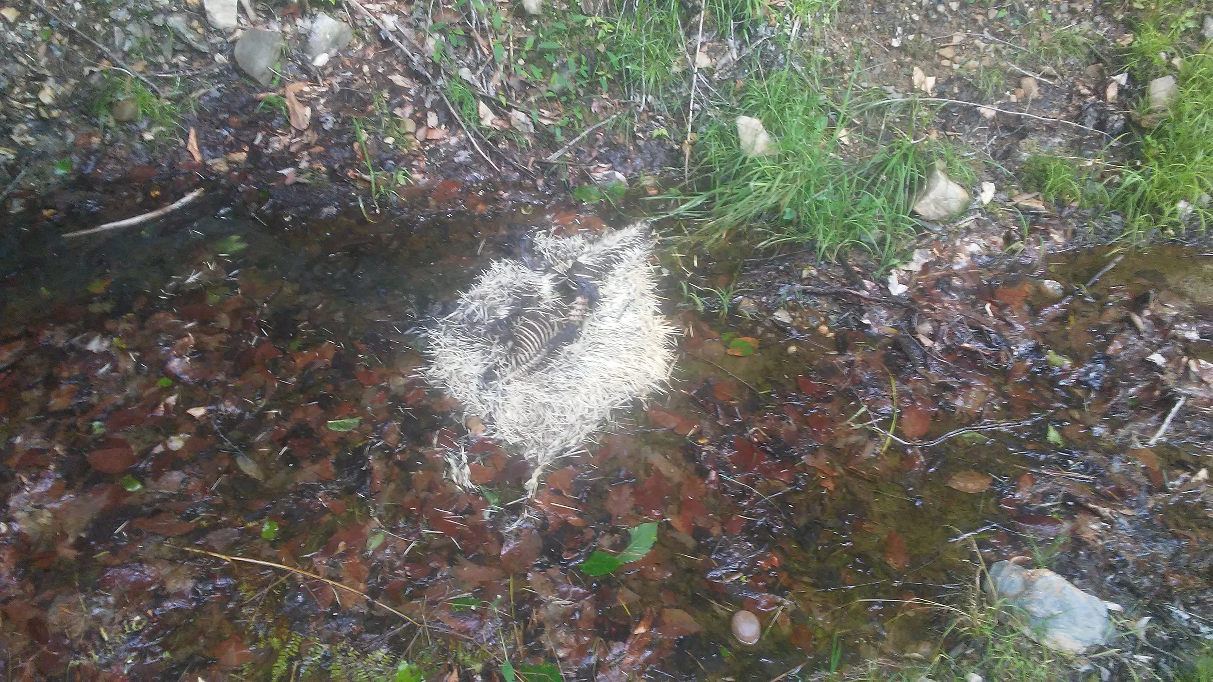 20170804_105713.jpg