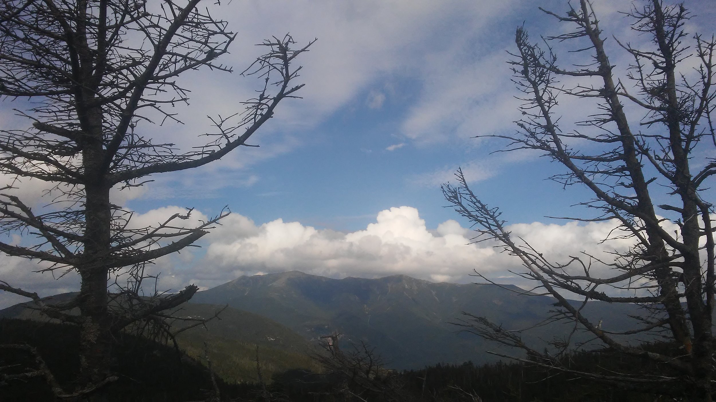 20170819_160151.jpg