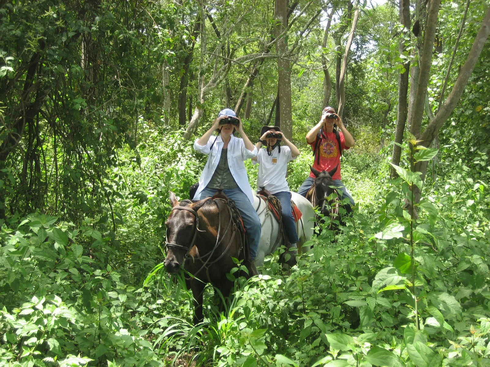 Horse-tour-in-Ario-Nature-Reserve.jpg