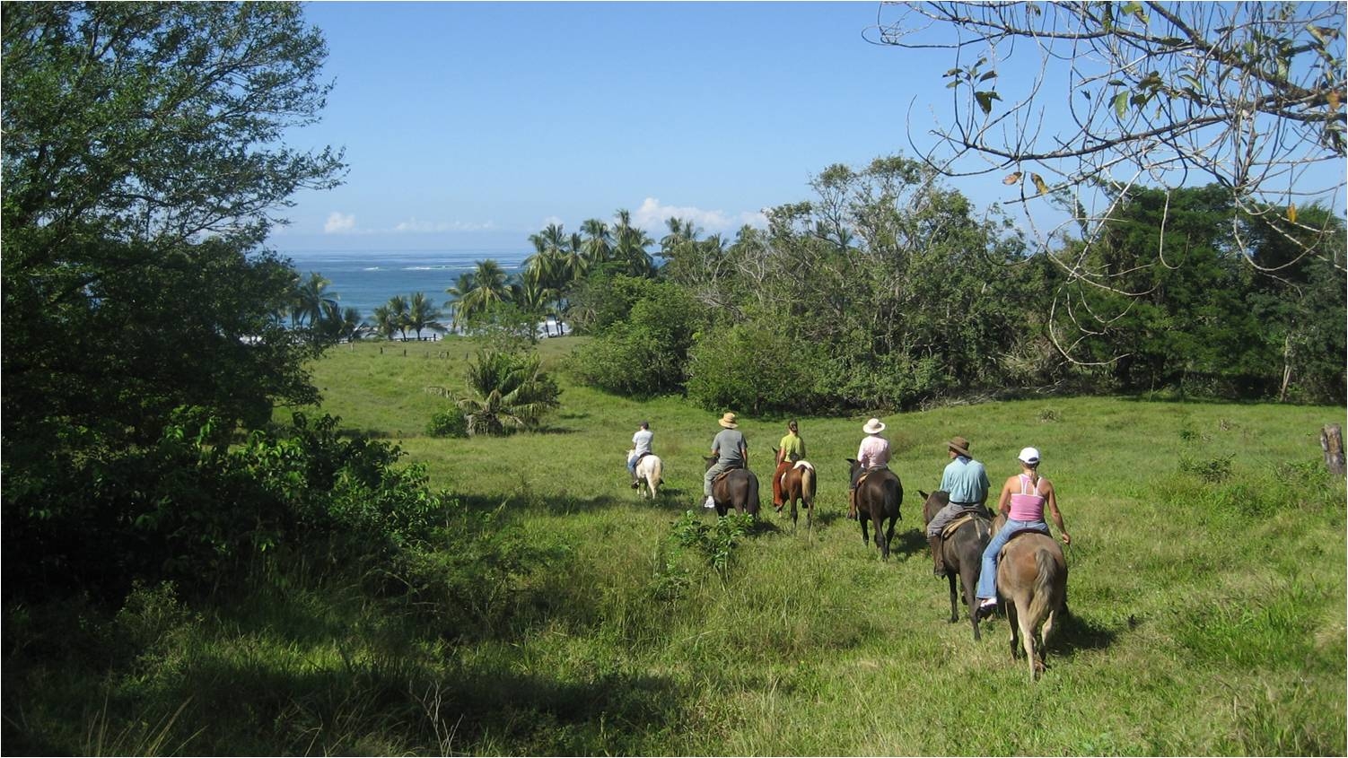 Best Guided Horse Tour in Costa Rica