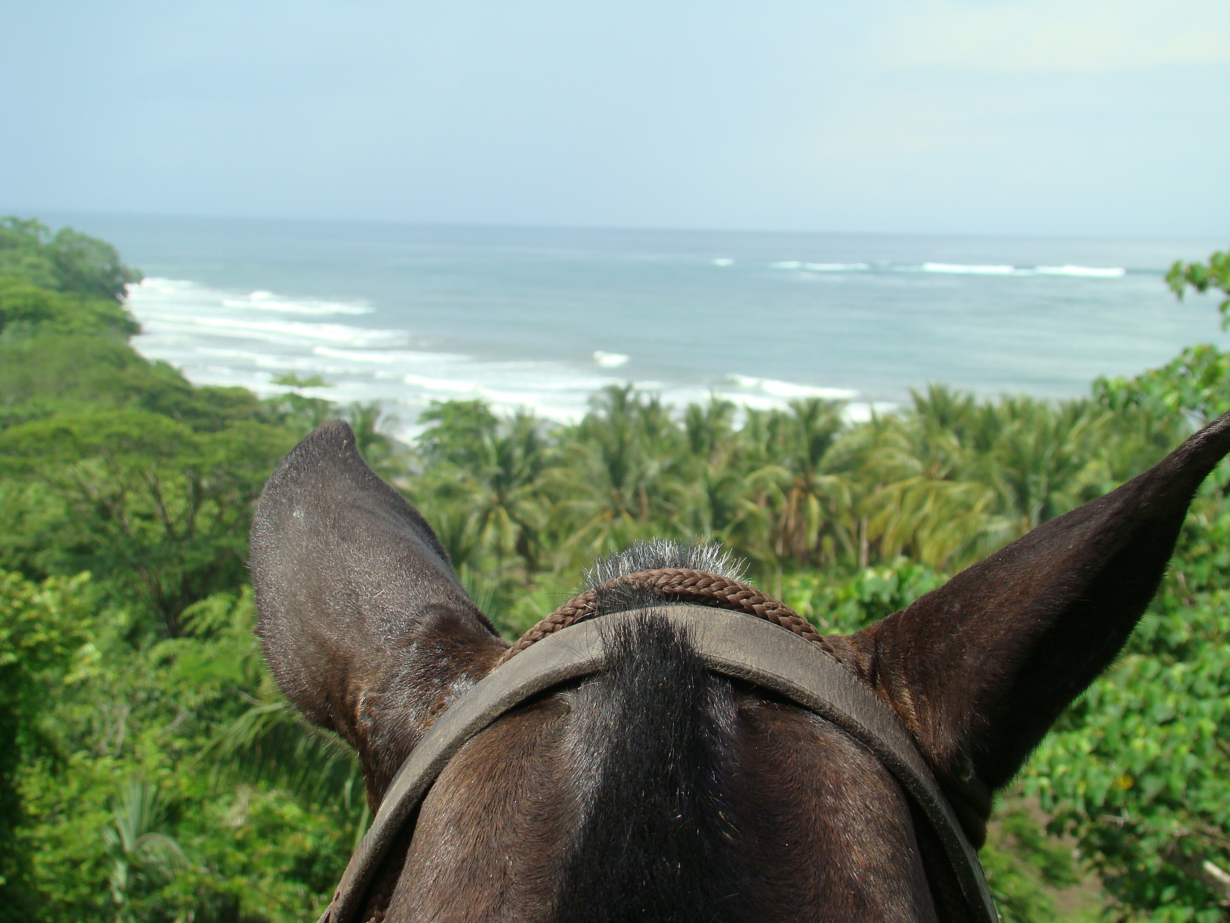 Ocean Views