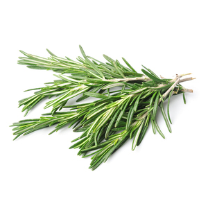Rosemary, whose name derives from the Latin "dew of the sea." Traditionally used to improve brain function and drive away nightmares. Is a classic culinary herb in many cultures. 