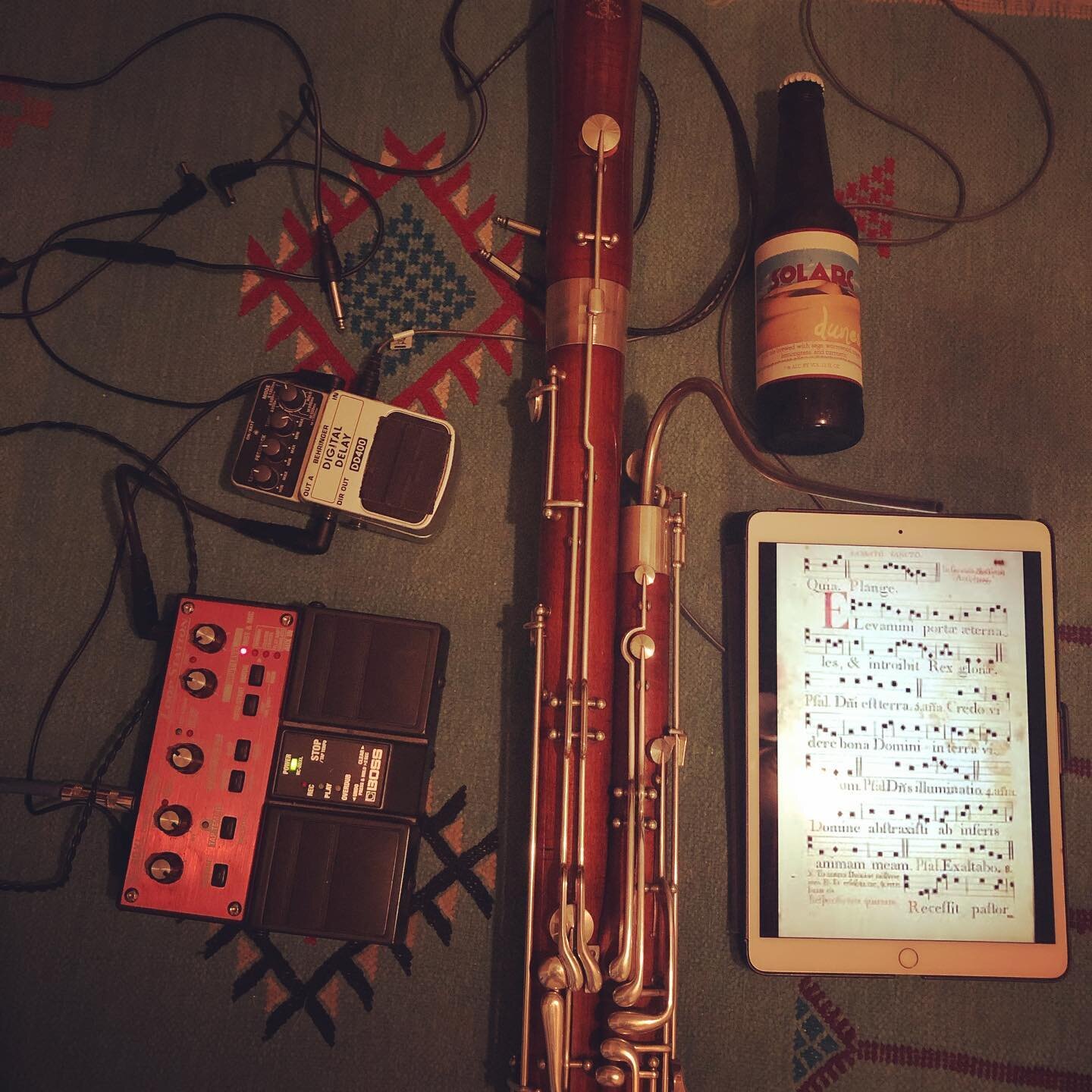 Tonight! Highland Park house show ~ I&rsquo;m playing electric bassoon arrangements of medieval classics - there will be mead and dunes gruit as well as delicious soup and music by @wistapear nd @wolfwoodcockmusic #gruit #mead #medieval #bassoon #ele