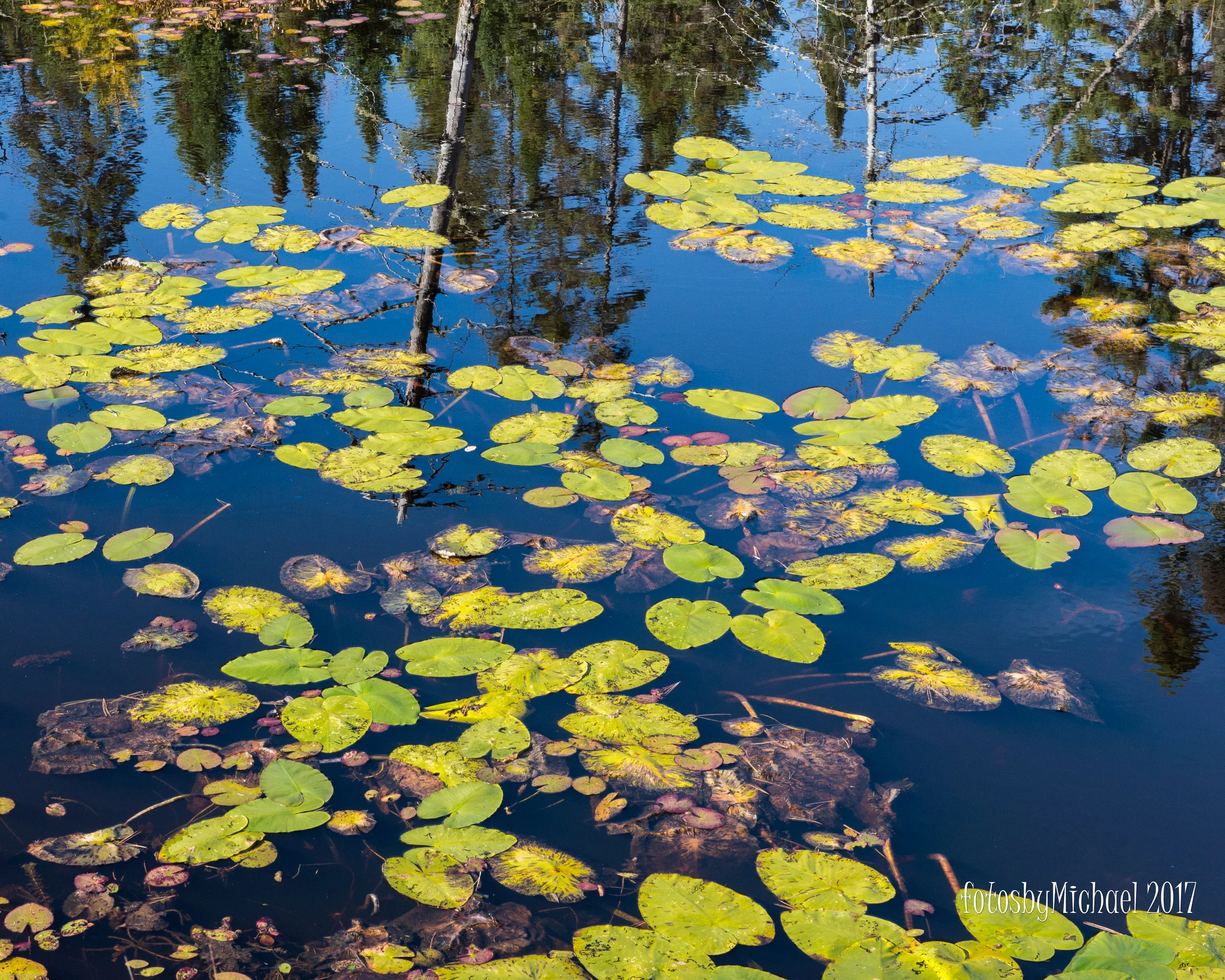 _DSC8166.jpg
