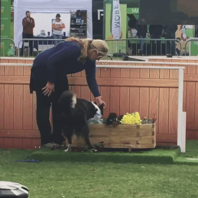 ezgif.com-resize (1).gif