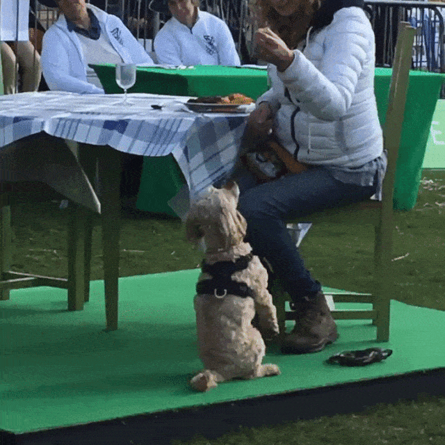 ezgif.com-optimize (9).gif