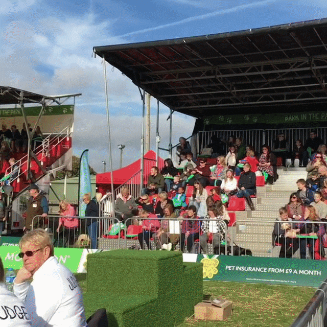 ezgif.com-optimize (10).gif