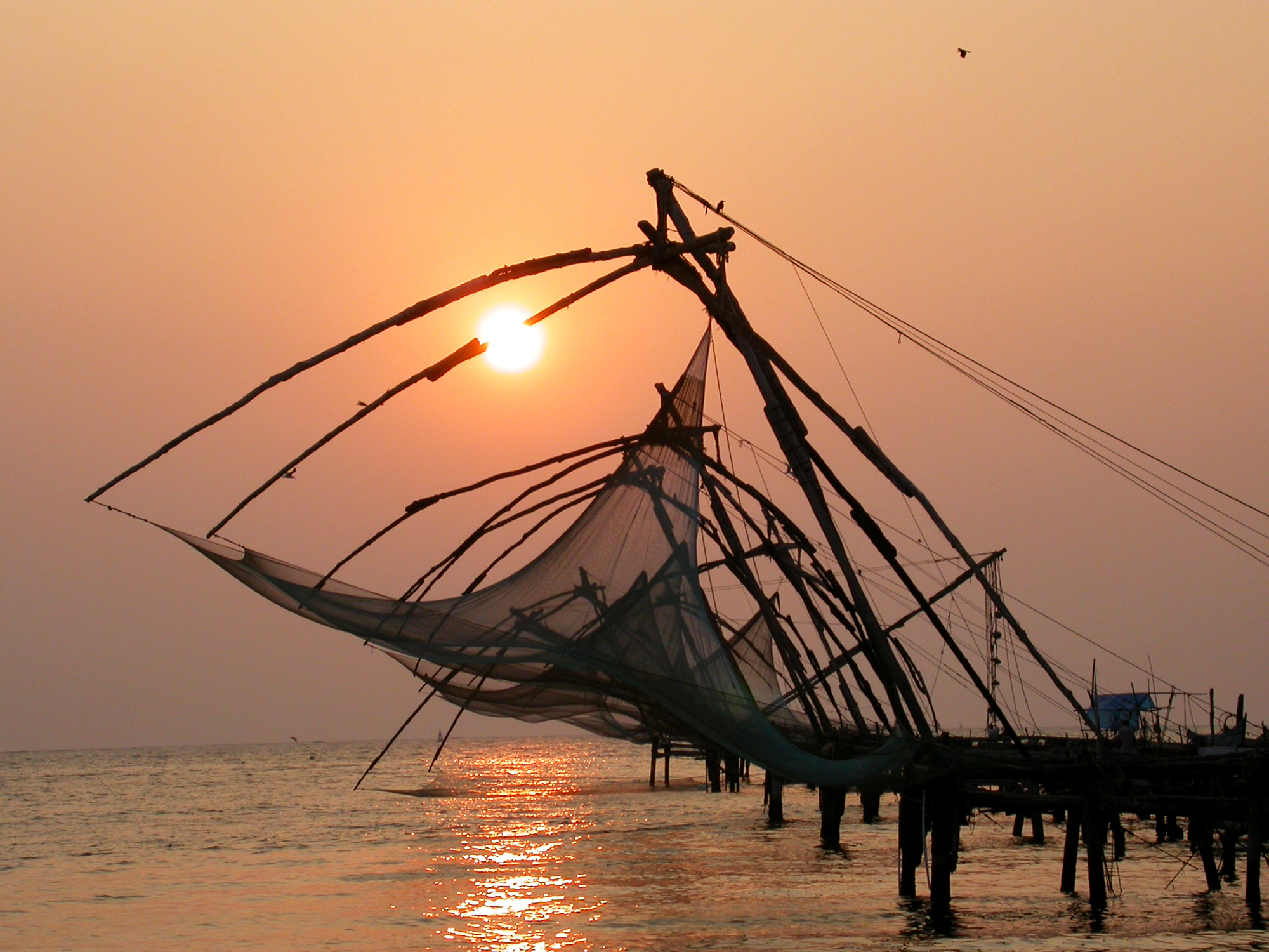 Chinese Fishing Nets at Sunset | Kochi, India