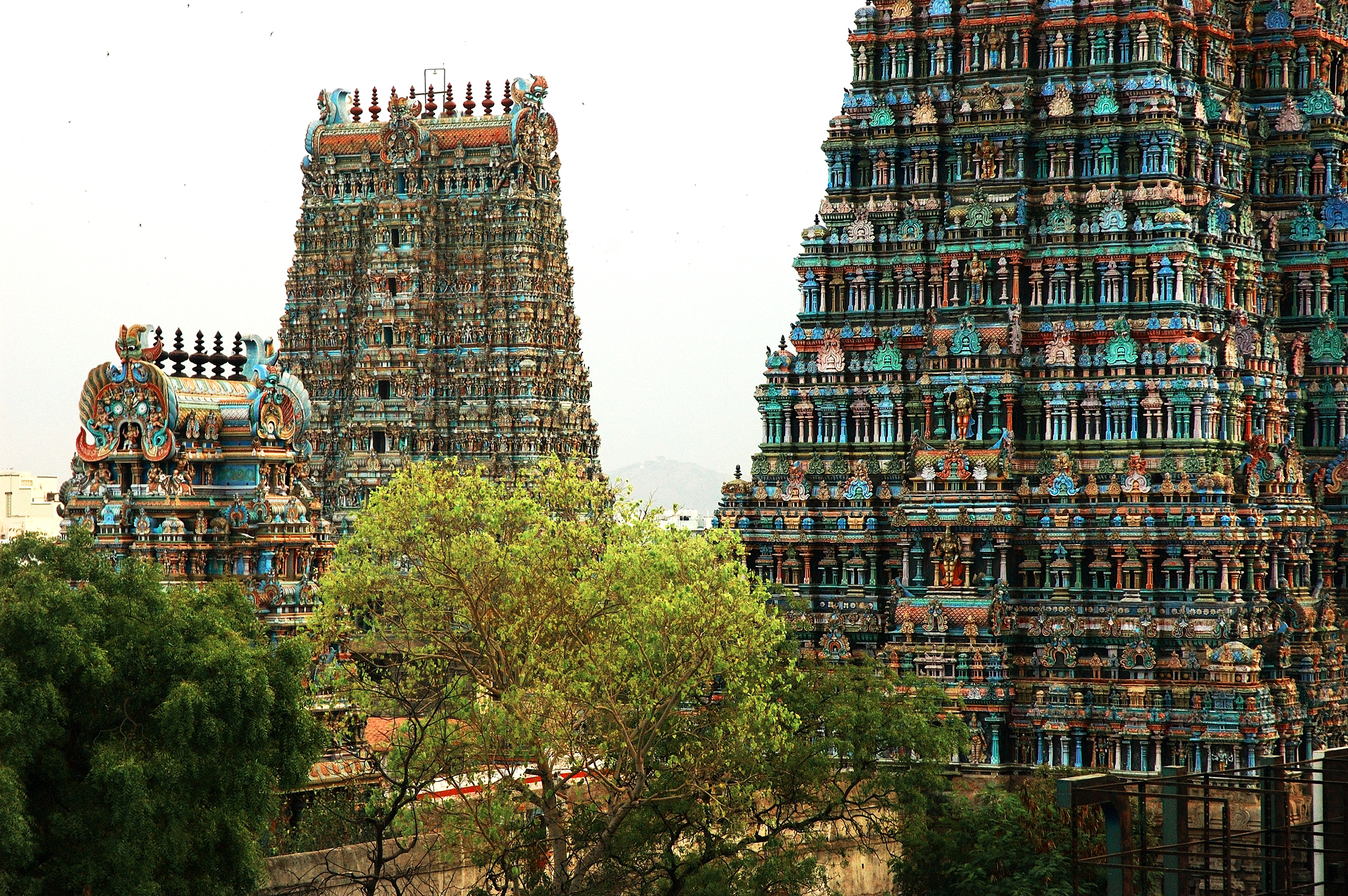 Meenakshi Temple | Madurai, India