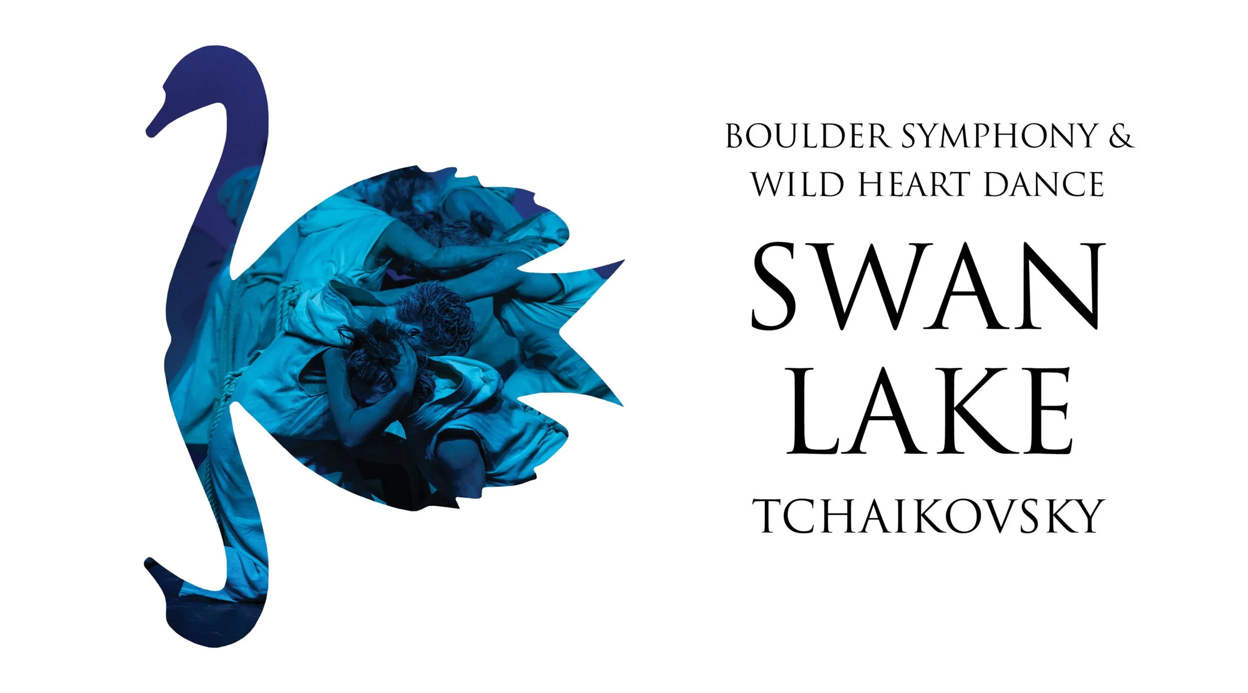 Swan_Lake_900_500_2-scaled.jpg
