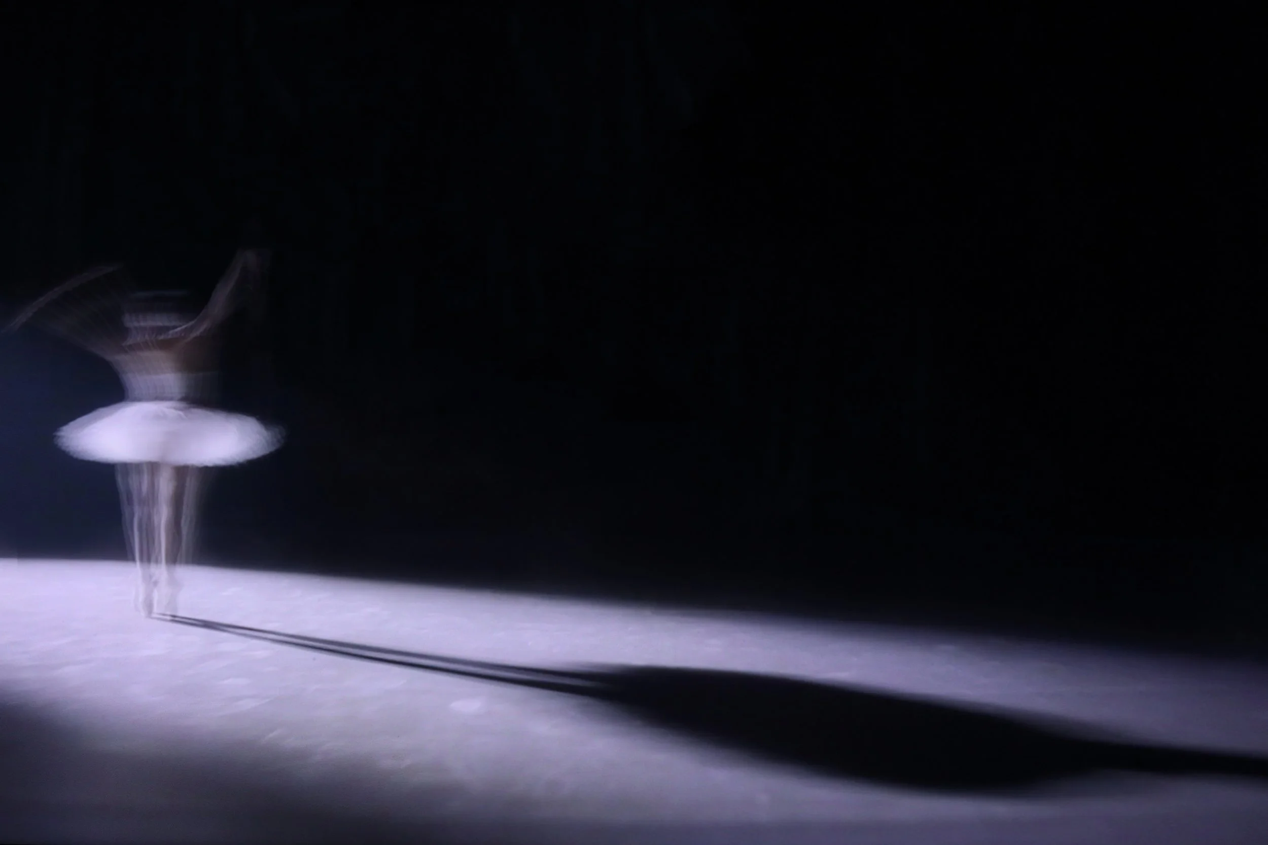 "Echoes of Motion"  New Series