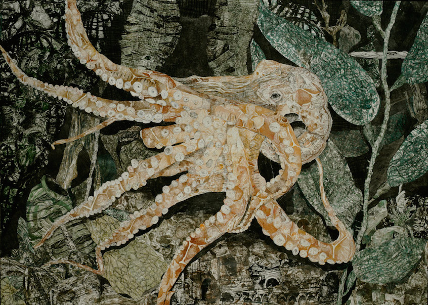 Octopus