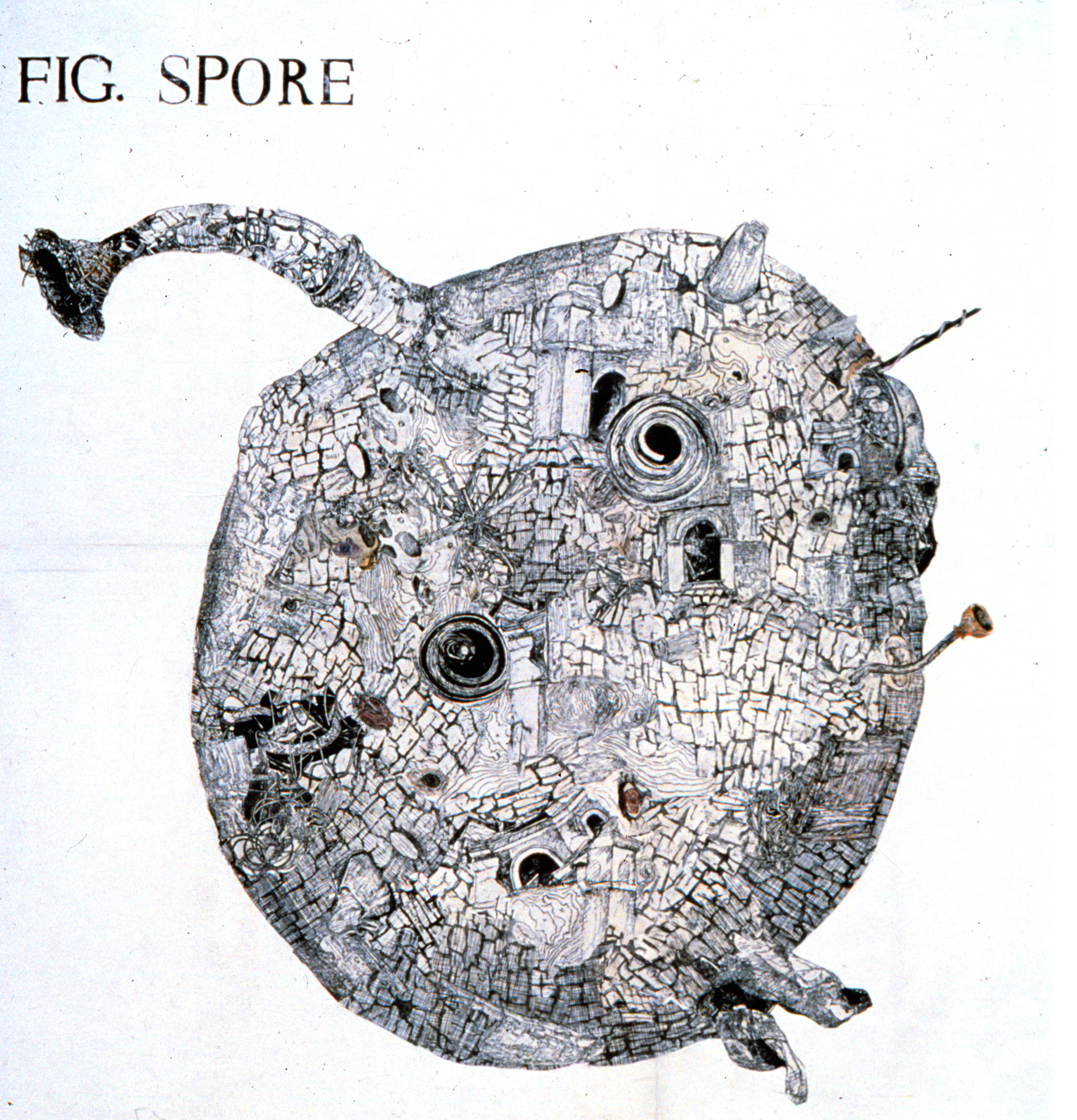 Spore woodblock prints on kozo paper on wood panel 69" x 64" 2001