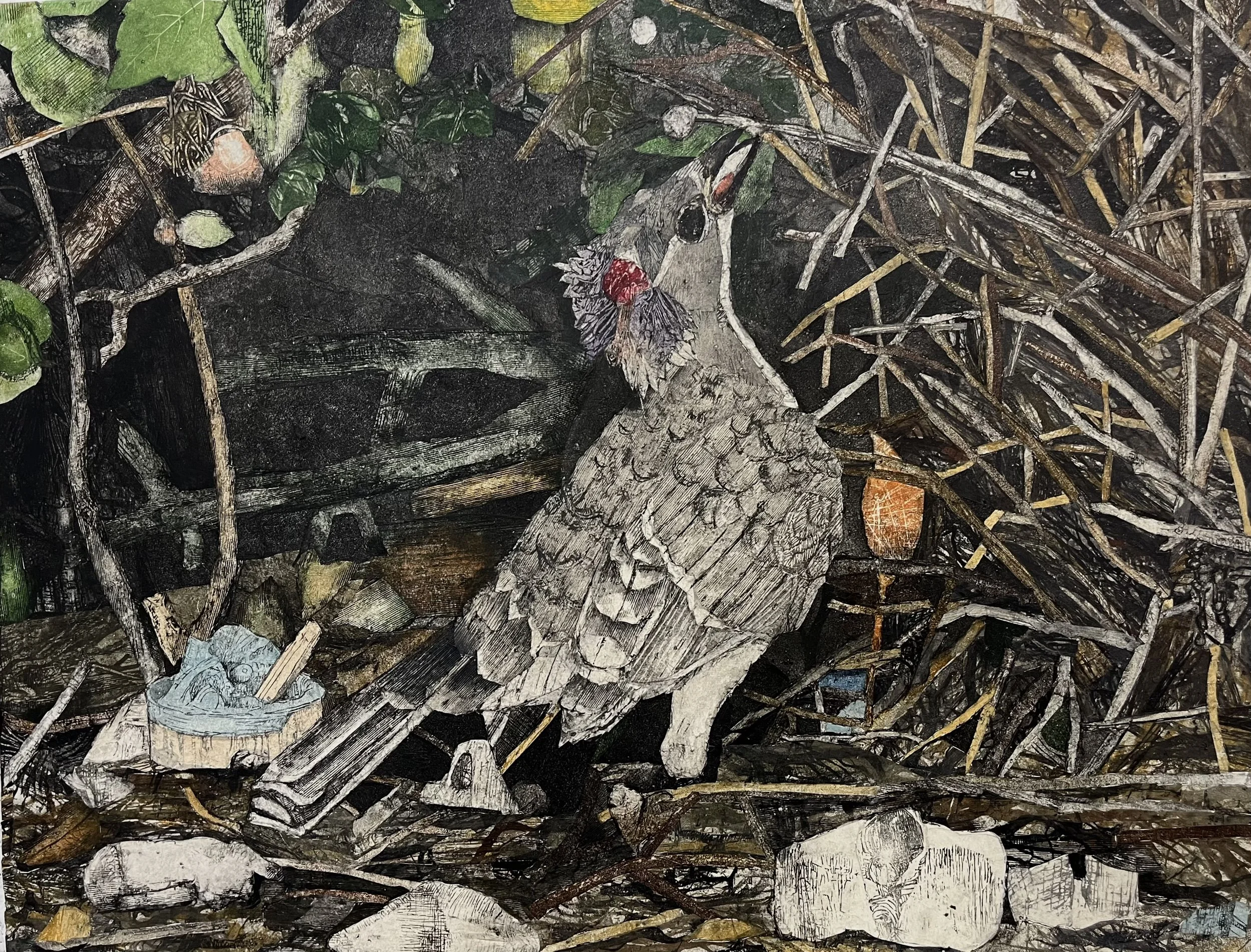 A Bird Building His Bower