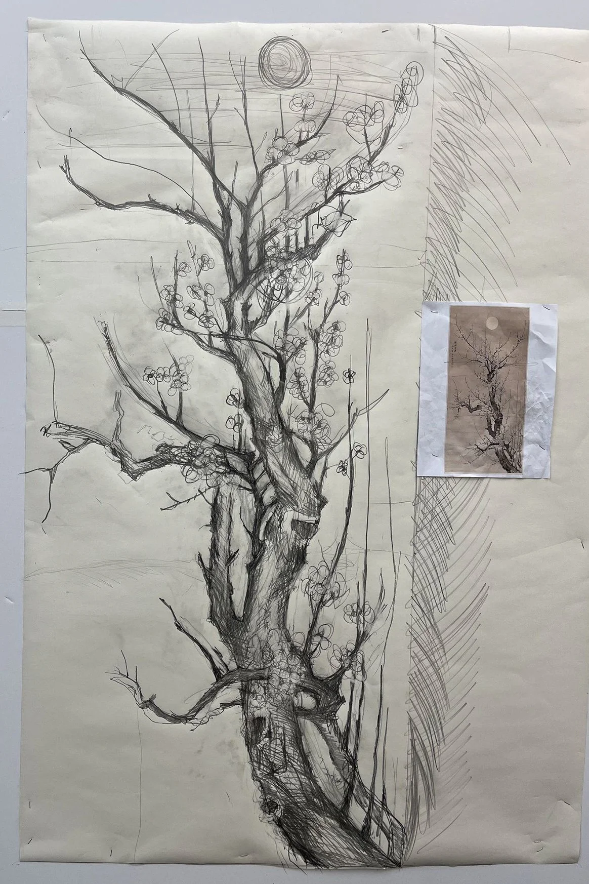 Pencil drawing of a flowering cherry tree with gnarled twisting branches