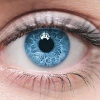 Vital Vision Vitamin