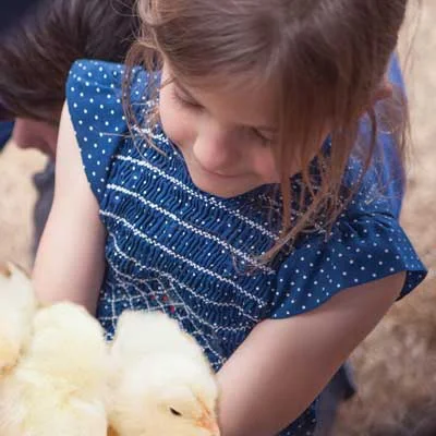 Petting Zoo